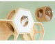 MYZOO �ޥ����� Busy Cat���� Cover Plate ���С��ץ졼�� �ۥ磻��
