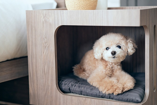 FrancePet �ե�󥹥ڥå� PE02 �ڥåȥϥ��������ȥơ��֥�