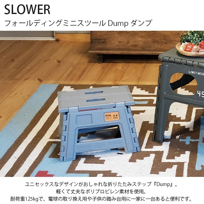 SLOWER  եǥ󥰥ߥ˥ġ Dump 
