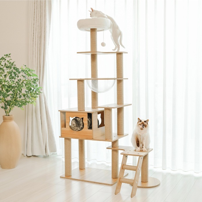 Wanyanya ˤˤ åȥФꥢå磻ɥ