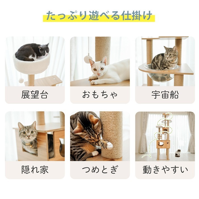 Wanyanya ˤˤ åȥФꥢå磻ɥ