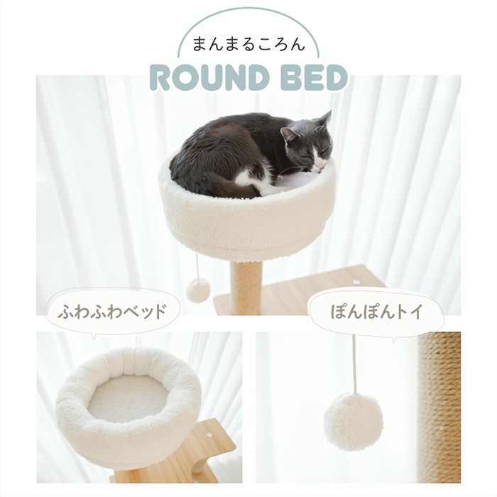 Wanyanya ˤˤ åȥФꥢå磻ɥ