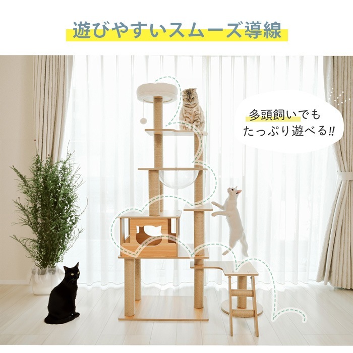 Wanyanya ˤˤ åȥФꥢå磻ɥ