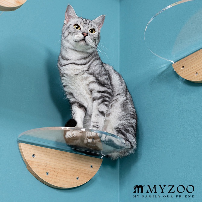 MYZOO �ޥ����� Round Lack �饦��ɥ�å� ���ꥢ