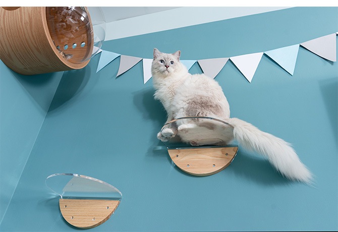 MYZOO �ޥ����� Round Lack �饦��ɥ�å� ���ꥢ