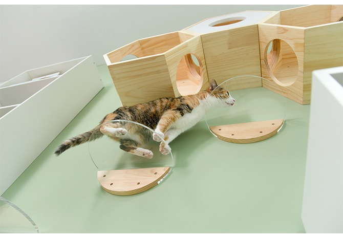 MYZOO �ޥ����� Round Lack �饦��ɥ�å� ���ꥢ