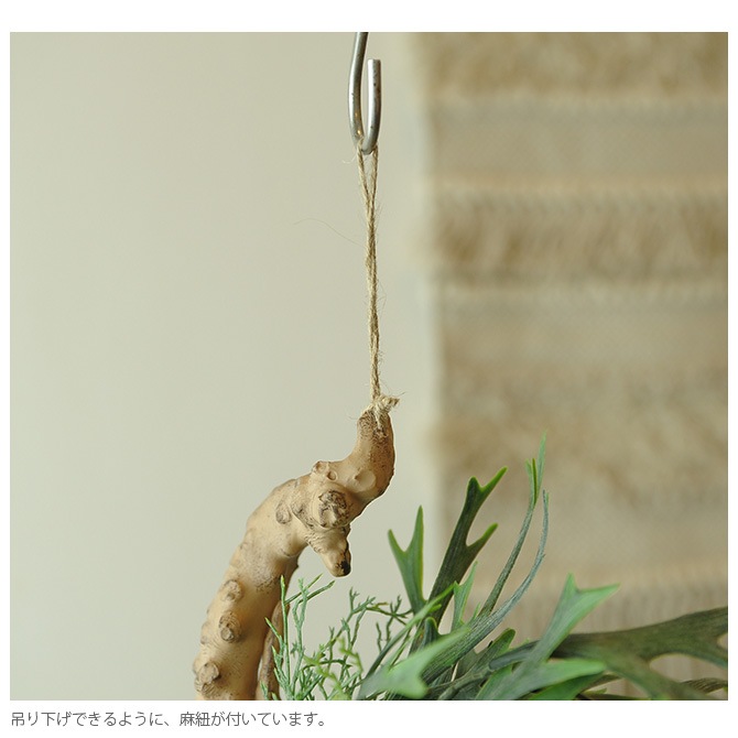 Brown. �֥饦�� �ե��������꡼�� �ӥ������� ���� �֥롼