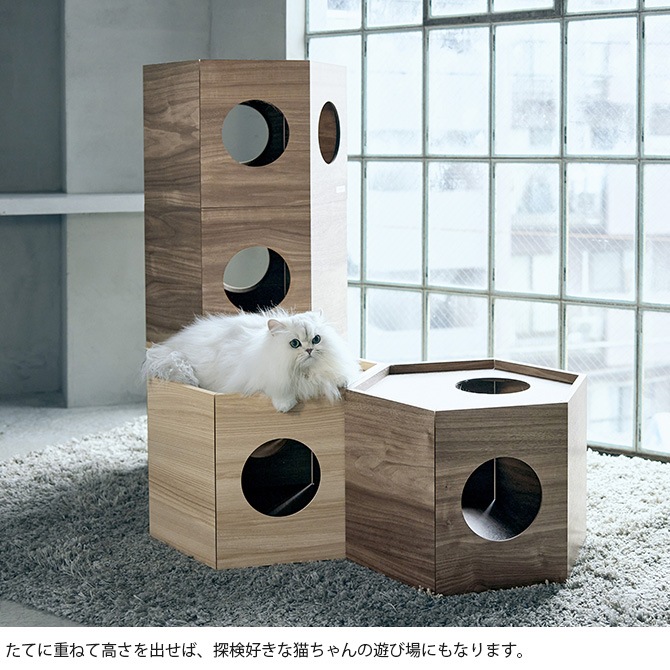 FrancePet ե󥹥ڥå PE03 ڥåȥϥ إ 2ĥå