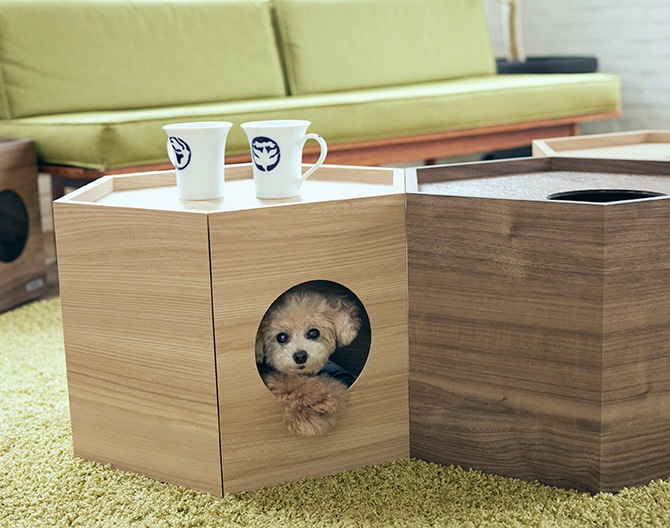 FrancePet ե󥹥ڥå PE03 ڥåȥϥ إ 2ĥå