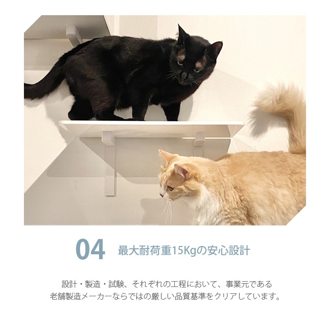 animacolle ���˥ޥ��� Catroad+ �磻�ɥ��ƥå� ��45cm �ۥ磻��