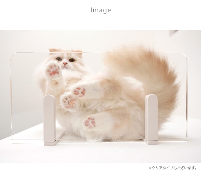 animacolle ���˥ޥ��� Catroad+ �磻�ɥ��ƥå� ��45cm �ۥ磻��