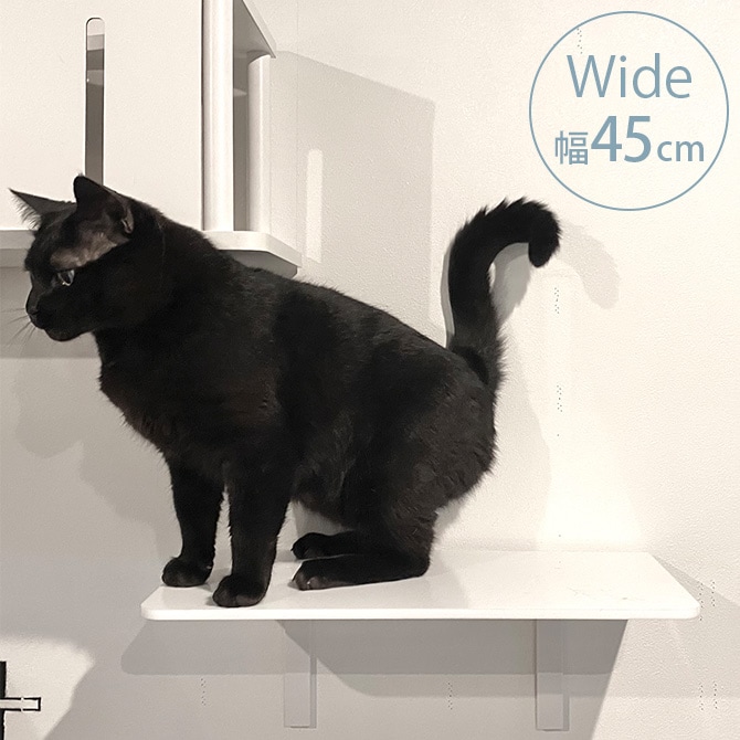 animacolle ���˥ޥ��� Catroad+ �磻�ɥ��ƥå� ��45cm �ۥ磻��