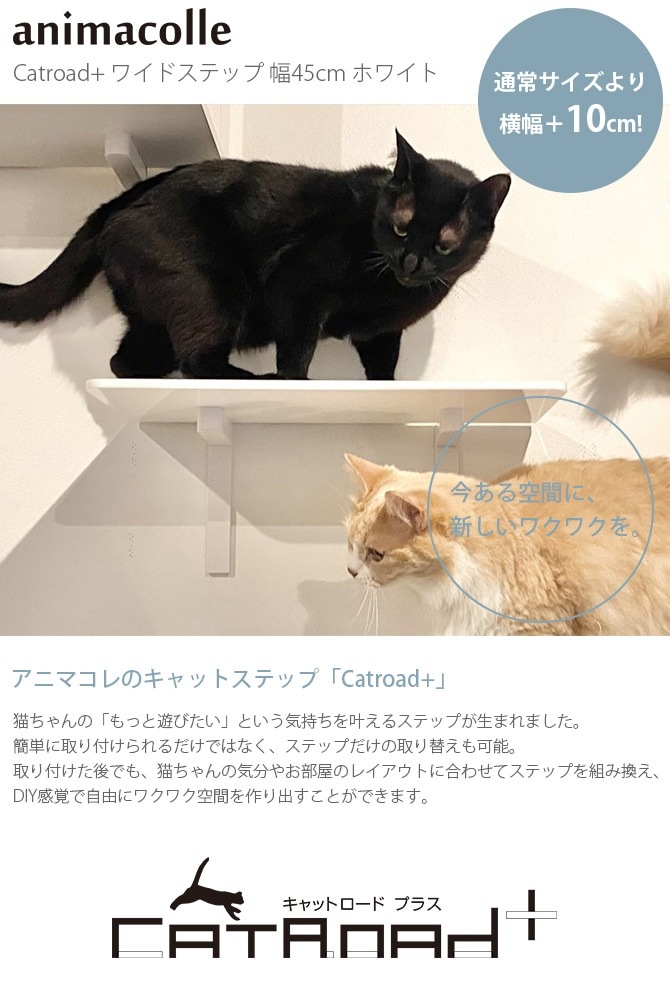 animacolle ���˥ޥ��� Catroad+ �磻�ɥ��ƥå� ��45cm �ۥ磻��