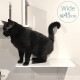 animacolle ���˥ޥ��� Catroad+ �磻�ɥ��ƥå� ��45cm �ۥ磻��