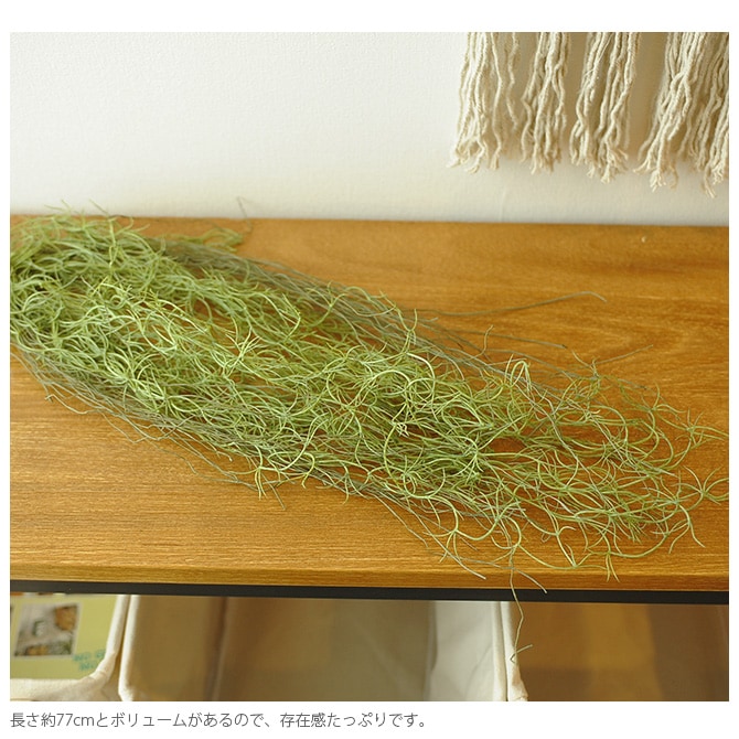 Brown. �֥饦�� �ե��������꡼�� ���ѥ˥å���⥹ �ϥ󥮥󥰥֥å��� ���꡼�� 77cm