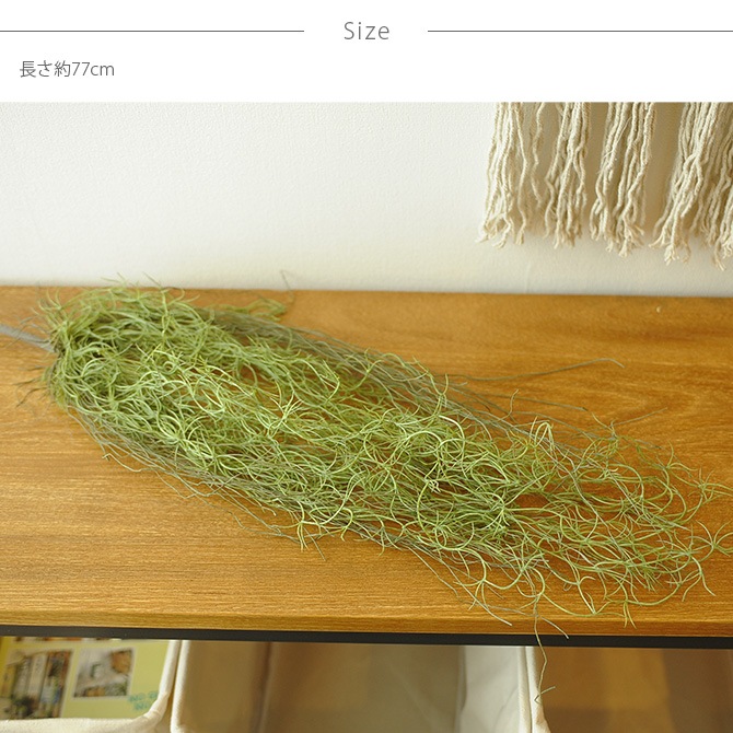 Brown. �֥饦�� �ե��������꡼�� ���ѥ˥å���⥹ �ϥ󥮥󥰥֥å��� ���꡼�� 77cm