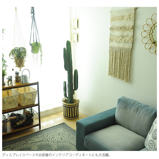 Brown. �֥饦�� ����������ե��� �ݥå�