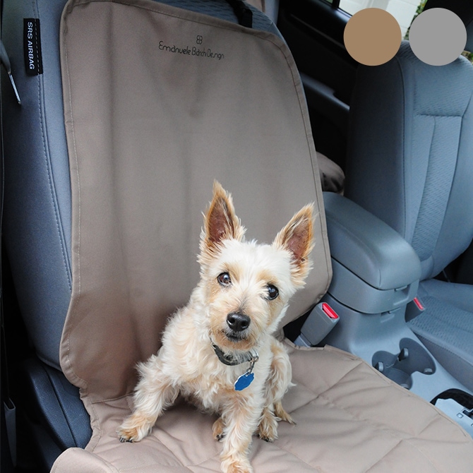 egr �������������� �����ȥץ��ƥ����� �ե����