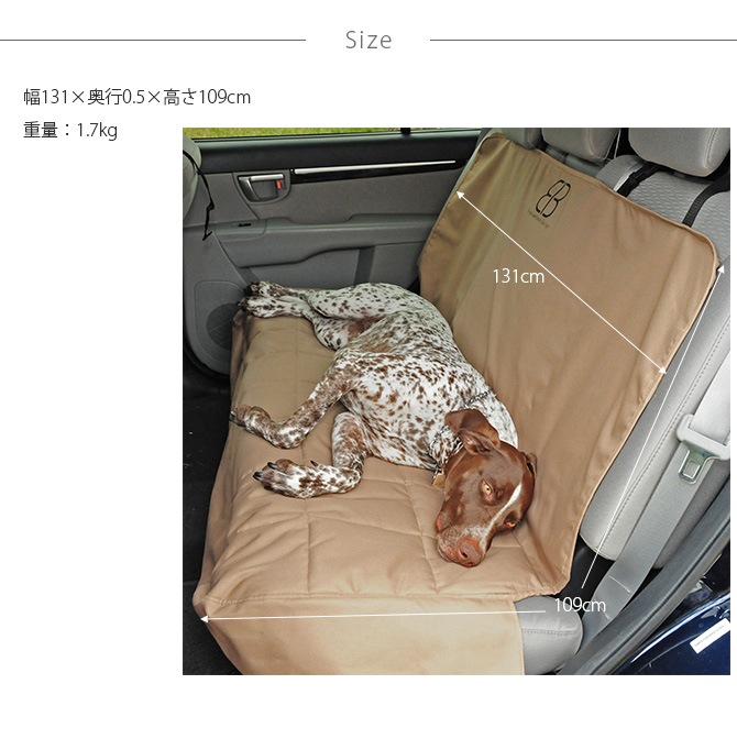 egr �������������� �����ȥץ��ƥ����� �ꥢ