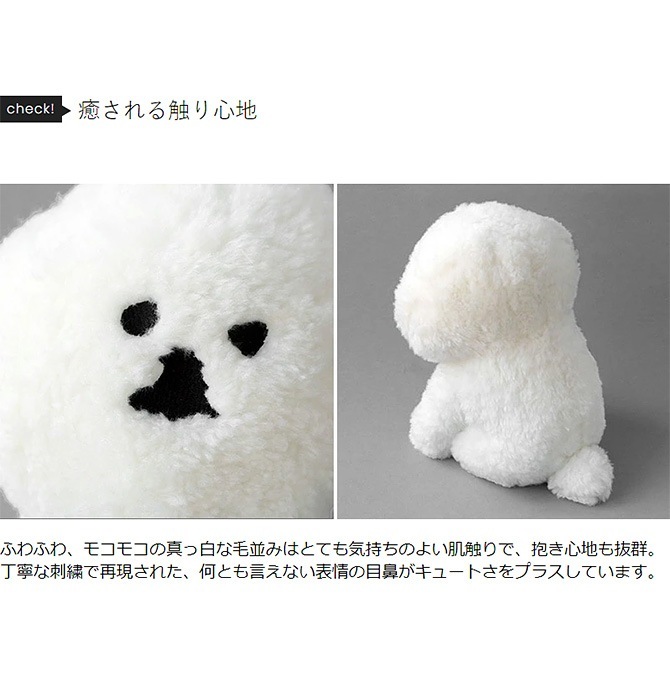 CLASKA DO 饹 ɡ MAMBO ̤ߥꥢ ¤ NR-02955