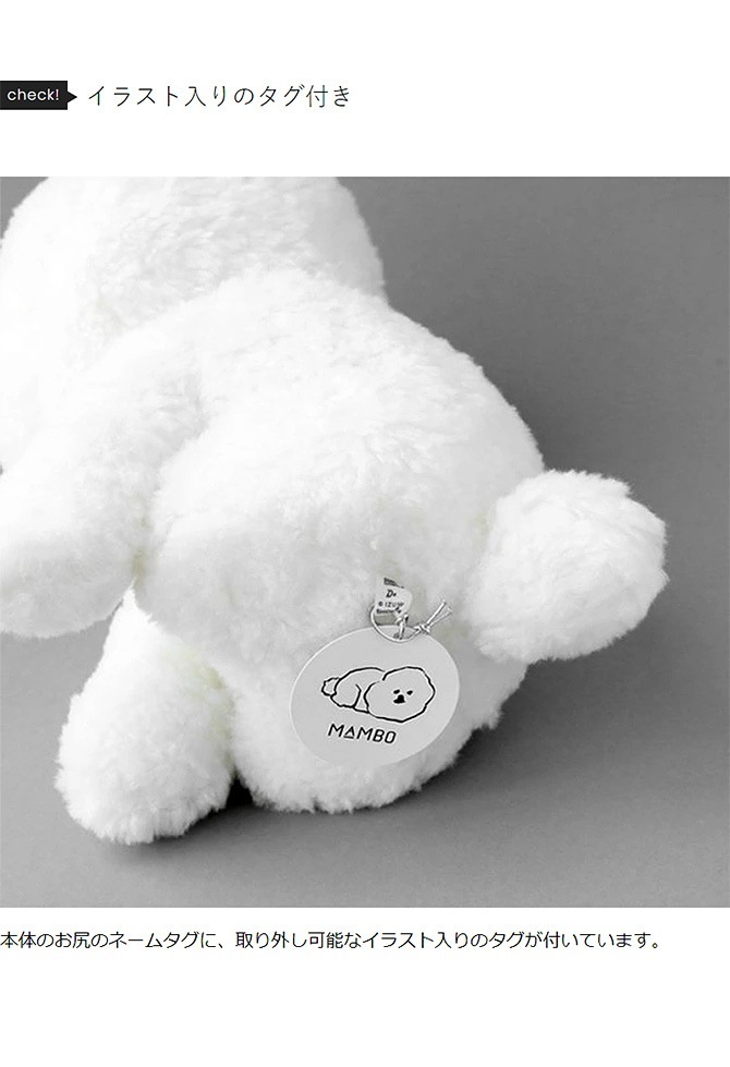 CLASKA DO 饹 ɡ MAMBO ̤ߥꥢ ¤ NR-02955