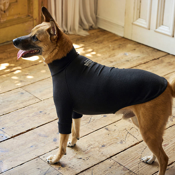 MANDARINE BROTHERS �ޥ�����֥饶���� �����󥿥��ȥ�������T����ġ�XS��S