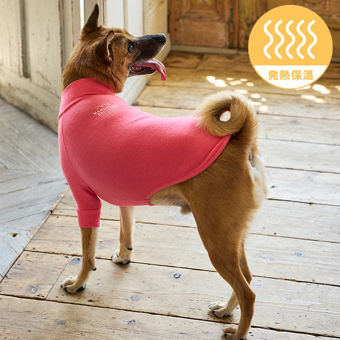 MANDARINE BROTHERS �ޥ�����֥饶���� �����󥿥��ȥ�������T����ġ�XS��S