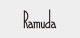 Ramuda ���� 1��׸� �������ѻ� Ĺ�� ��� 8�ܹ� 60cm �׸���Ǯ T/C�����֥졼̵�� ���� �礭�� ����1��׸�/������ ���/�������/����ץ�/