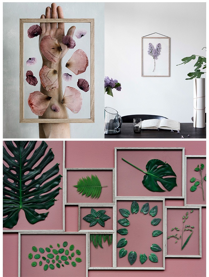 MOEBE ࡼ FRAME ե졼 A4 