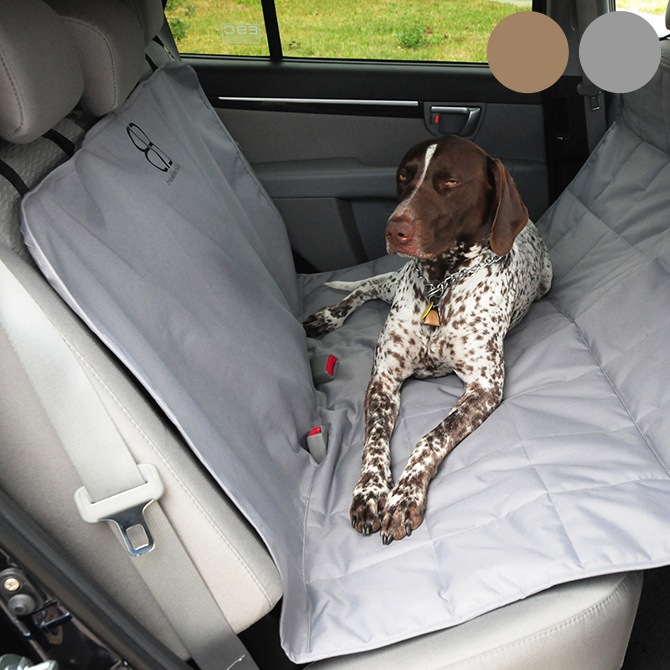 egr �������������� �����ȥץ��ƥ����� �ϥ��å�