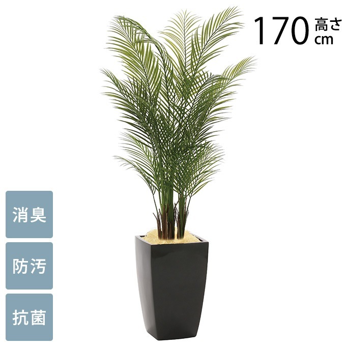 観葉植物(ダミー) オシダ エレクトロポットM 観葉植物 | フェイクグリーン・造花専門店