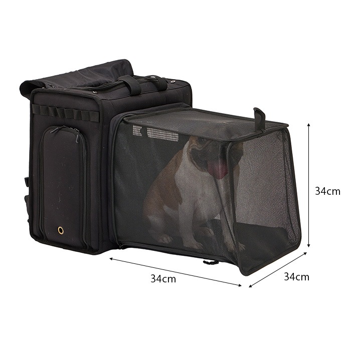 MANDARINE BROTHERS �ޥ�����֥饶���� �ǥ��꡼�������ѥ���֥�Хå��ѥå�