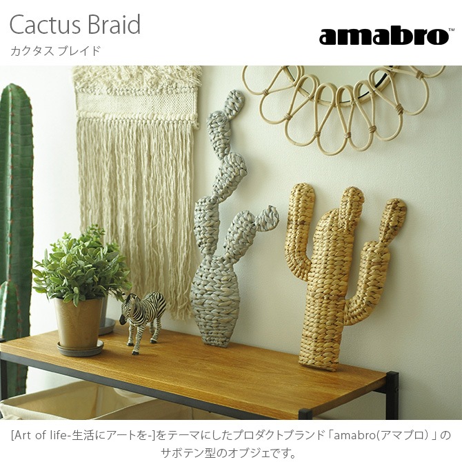 amabro ޥ֥ CACTUS BRAID( ֥쥤)