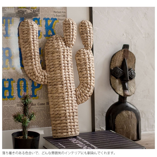 amabro ޥ֥ CACTUS BRAID( ֥쥤)