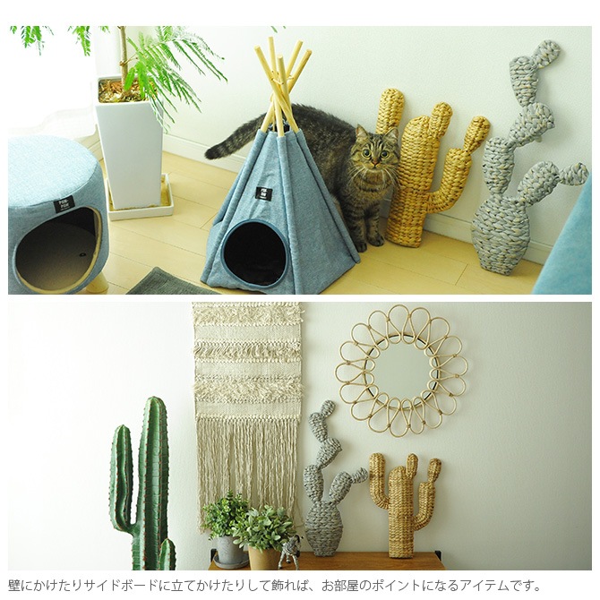 amabro ޥ֥ CACTUS BRAID( ֥쥤)