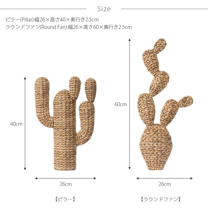 amabro ޥ֥ CACTUS BRAID( ֥쥤)