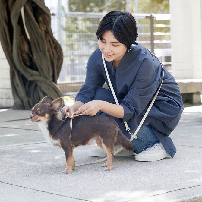 Horn Please �ۡ��� �ץ꡼�� ����������쥶�� DOG �ϡ��ͥ� ���