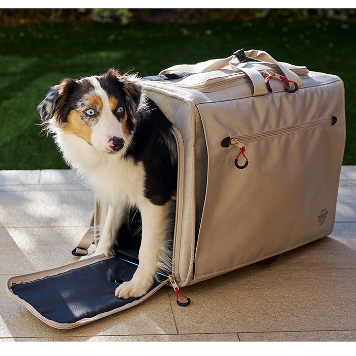 MANDARINE BROTHERS �ޥ�����֥饶���� �֥ꥯ���ȥ󥭥�꡼�Хå��ѥå� �磻�� M