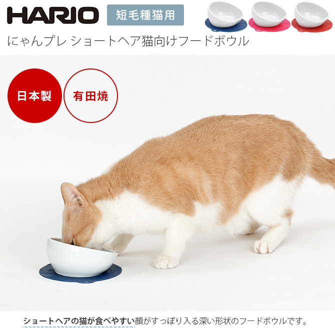 HARIO �ϥꥪ �ˤ��ץ� ���硼�ȥإ�ǭ�����ա��ɥܥ���