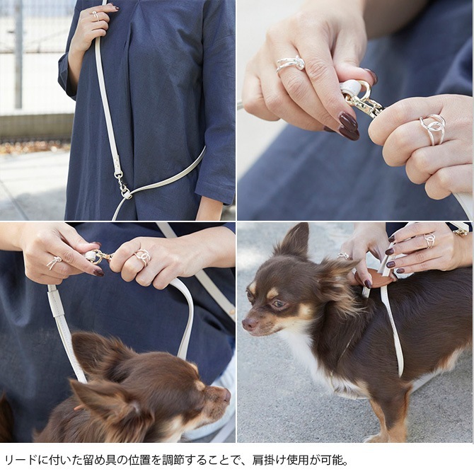 Horn Please �ۡ��� �ץ꡼�� ����������쥶�� DOG �꡼��