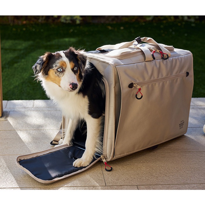 MANDARINE BROTHERS �ޥ�����֥饶���� �֥ꥯ���ȥ󥭥�꡼�Хå��ѥå� �磻�� L