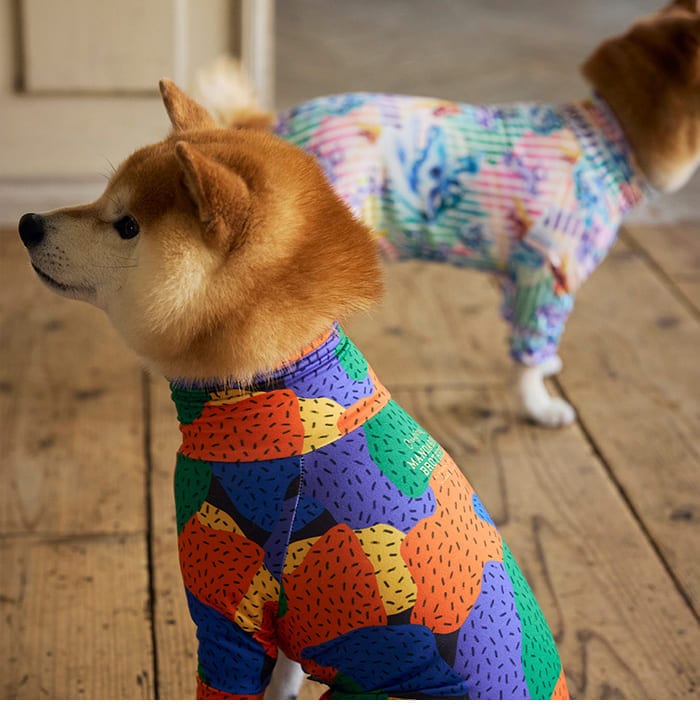 MANDARINE BROTHERS �ޥ�����֥饶���� �����󥿥��ȥ����� �ޥ���ץ��ȡ�M��MD��L