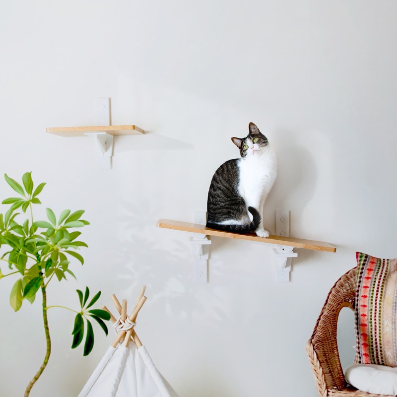 HEIAN SHINDO ʿ�¿�Ƽ CAT FREELY ����åȥե꡼�꡼ ����åȥ��ƥå� �ۥ磻��