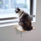 HEIAN SHINDO ʿ�¿�Ƽ CAT FREELY ����åȥե꡼�꡼ ����åȥ��ƥå� �ۥ磻��