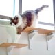 HEIAN SHINDO ʿ�¿�Ƽ CAT FREELY ����åȥե꡼�꡼ ����åȥ��ƥå� �ۥ磻��