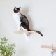 HEIAN SHINDO ʿ�¿�Ƽ CAT FREELY ����åȥե꡼�꡼ ����åȥ��ƥå� �ۥ磻��