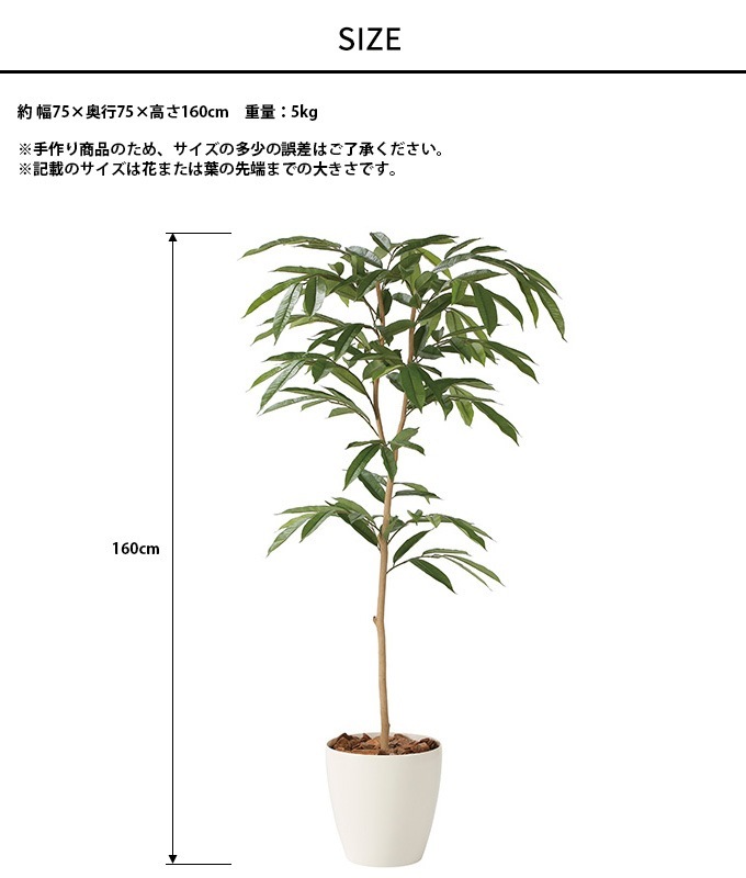 �ե��������꡼�� ȭ���� �緿 ���տ�ʪ �͹����� �ե��������� ���ॹ�ƥ��С����� 1.6m