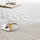 Fab the Home �ե��֥��ۡ��� �ߤ��ѥå� S ��ͥ�ߥå��� ��󥦥��å���