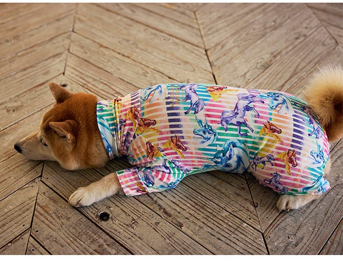 MANDARINE BROTHERS �ޥ�����֥饶���� �����󥿥��ȥ����� �ޥ���ץ��ȡ�XL��XLB��XXL