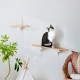 HEIAN SHINDO ʿ�¿�Ƽ CAT FREELY ����åȥե꡼�꡼ ����åȥ������� ���Х����� �ۥ磻��